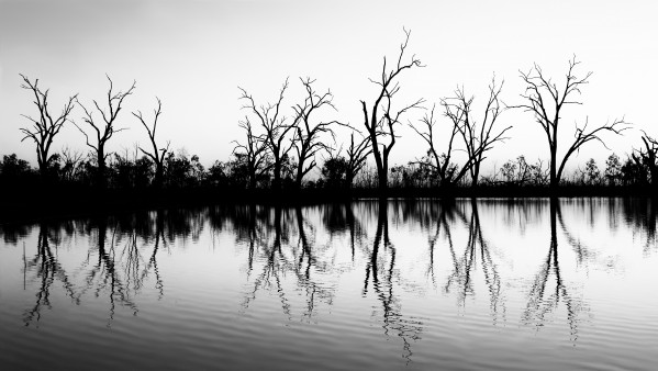 B W Lake Sunset 2 by Lexa Harpell
